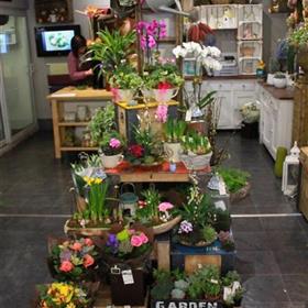 fwthumbPlant Show(1).jpg